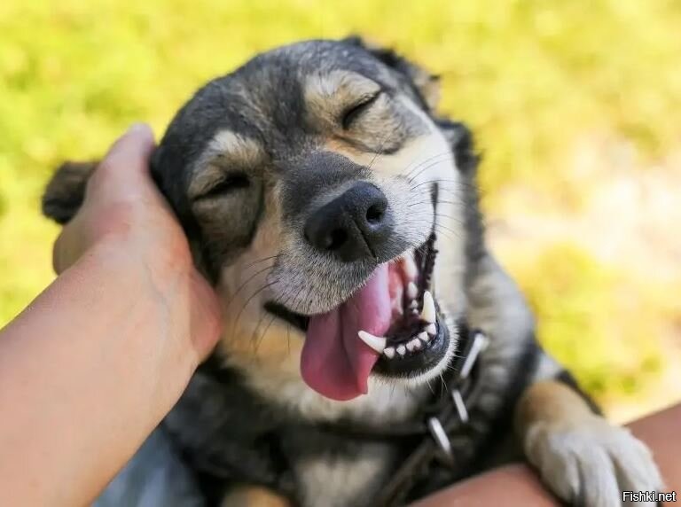 Варю завтрак