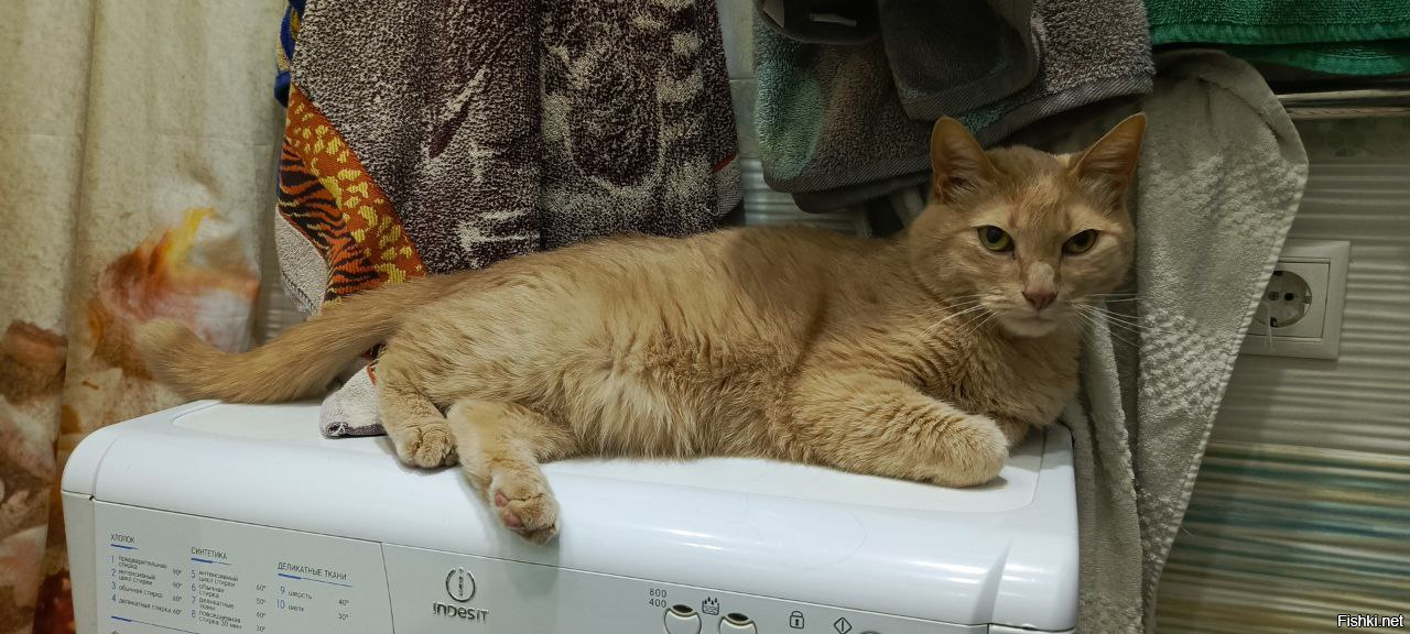 Позитивное)