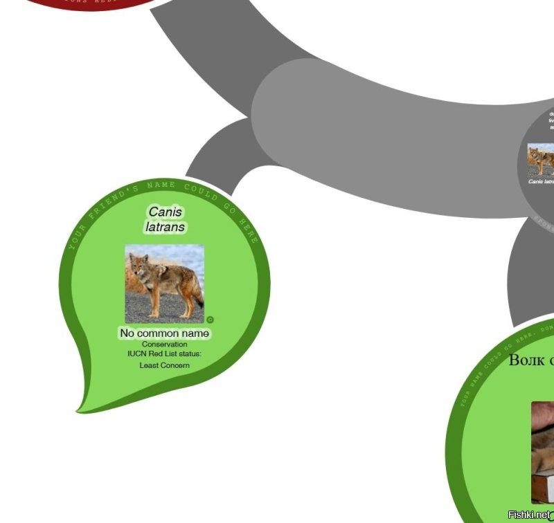 Койоты относятся к хищным зверям (  )

Он - близкий родственник волка, а про волка я знаю что зайца он догоняет не из-за спринтерских качеств, а выносливостью, т.е. со скоростью 15 км/ч может бежать хоть 40 мин. Заяц уже сдохнет к этому времени. С птицей, думаю, та же история.