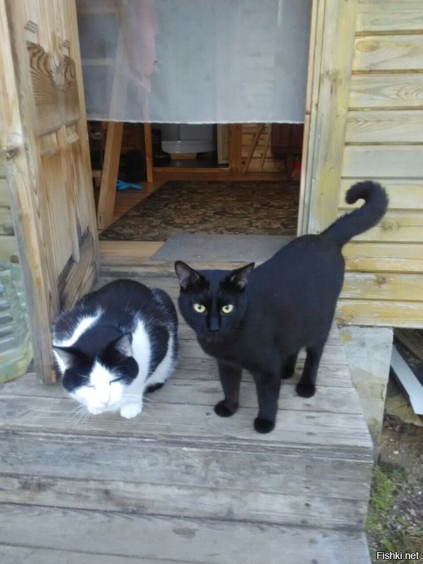 С друганом на даче, два года спустя.