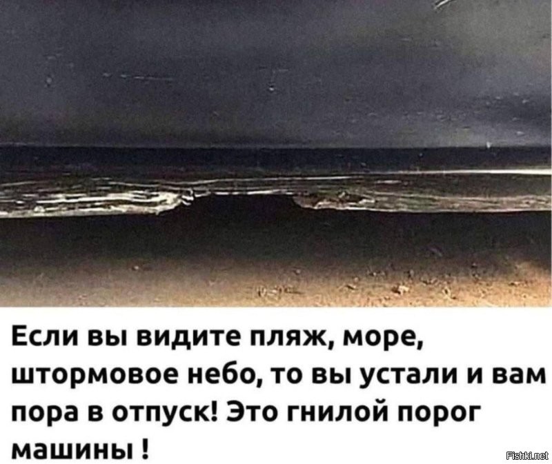 Солянка от 07.11.2025