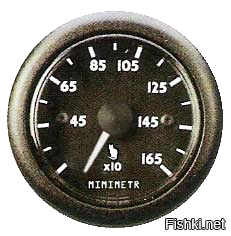 Фотограф заснял милого жителя тайги