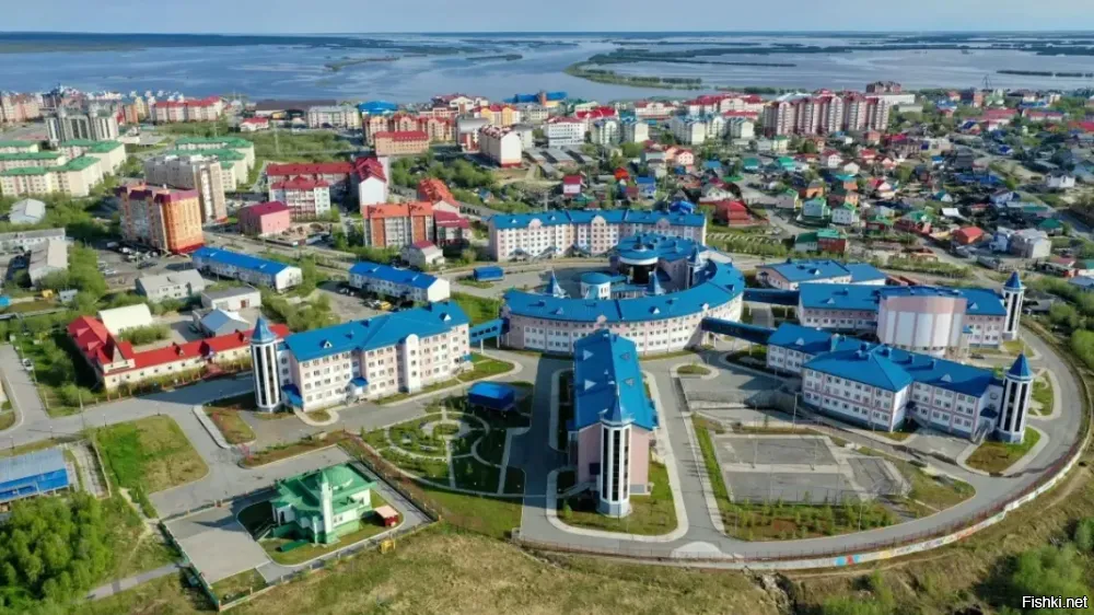 Солянка от 07.11.2025