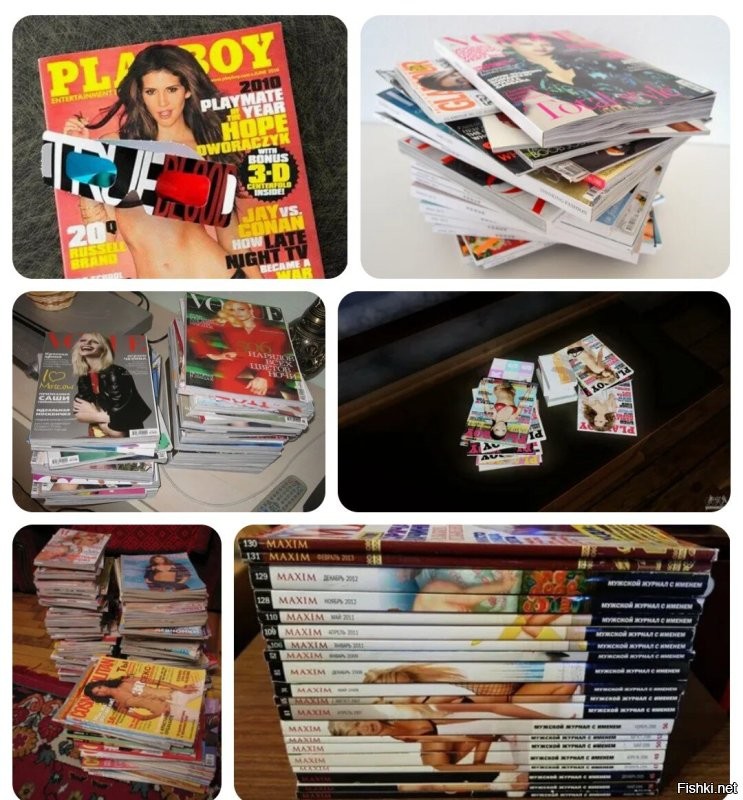 "Вероятность является высокой": в России могут ввести вход в интернет с авторизацией через "Госуслуги"