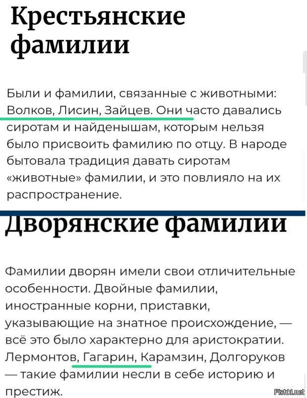 Ваши предки – дворяне или простолюдины? Простой способ узнать их статус