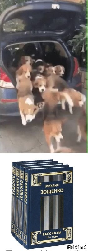 Просто гифки, всякие и разные