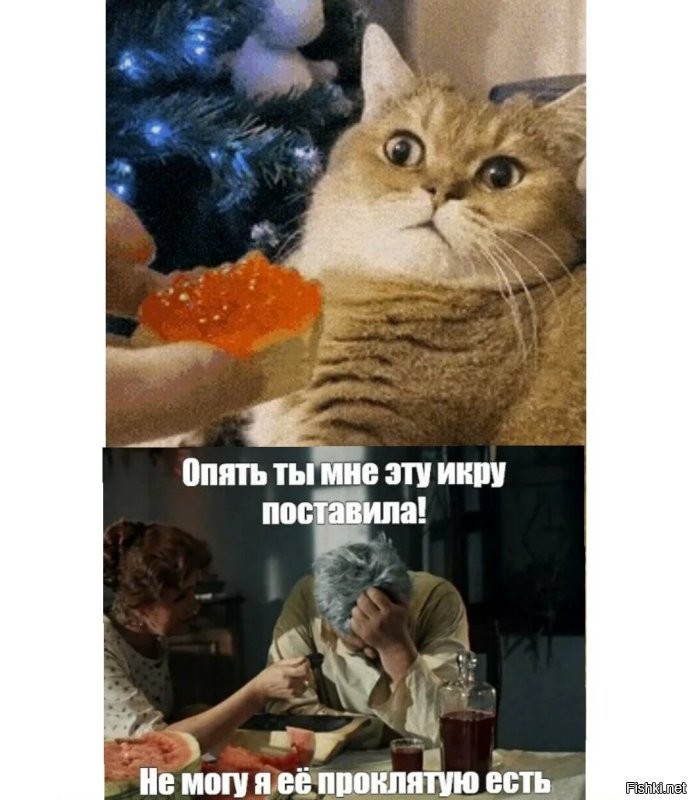 Просто гифки, всякие и разные