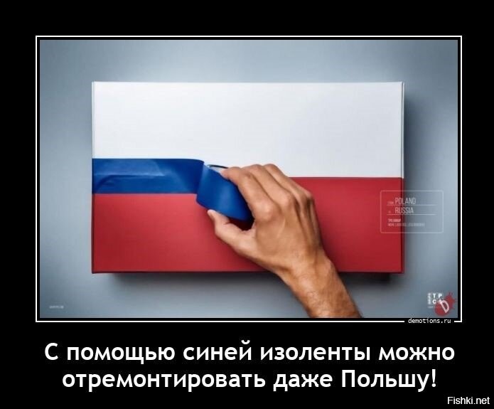 Солянка от 08.11.2025