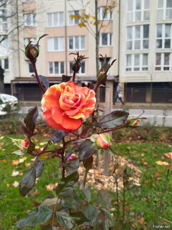 Доброго вечера