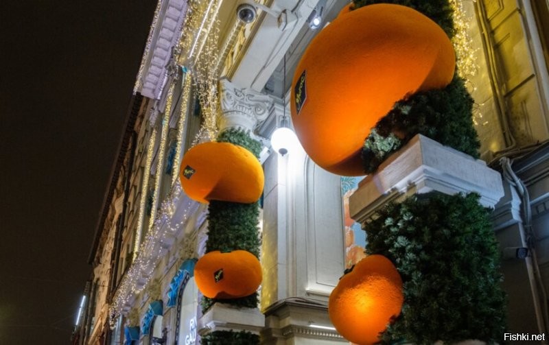 Солянка от 08.11.2025