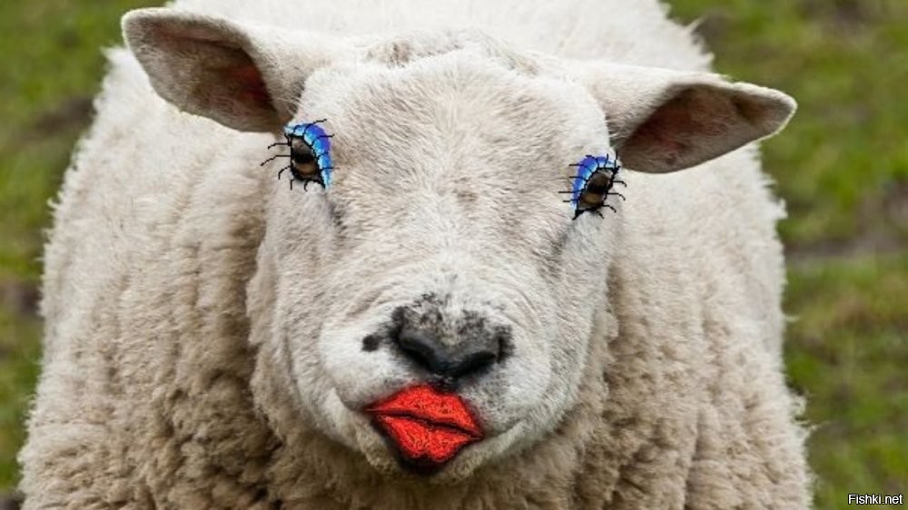 Из-за одной уюлюдочной личинки тупой овцы столько проблем...