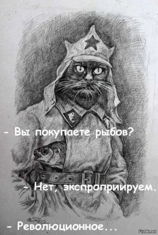 Солянка от 08.11.2025