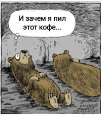 Редкие кадры засыпающего в берлоге медведя