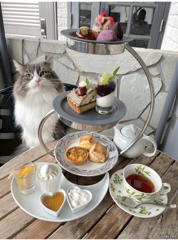 Доброе утро