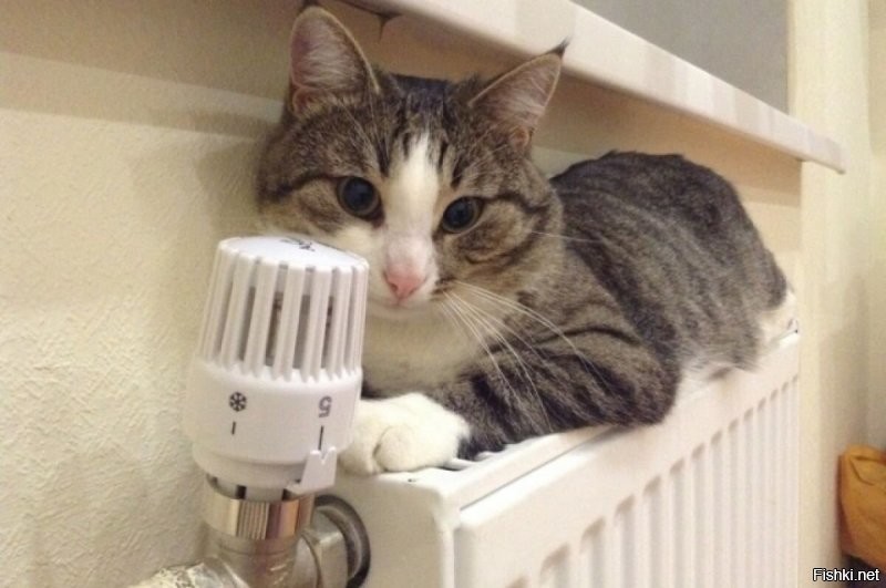 Доброе утро