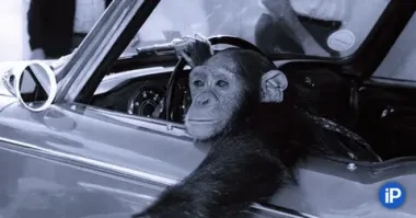 Думаю вариантов не много, у них же фишка такая, доказывать всем что оны мужчына. А аулах так принято, значит и здесь можно)