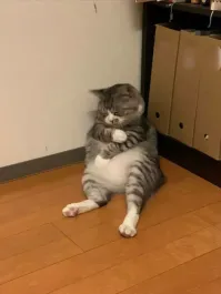 Вот настоящие позы отдыха и усталости: