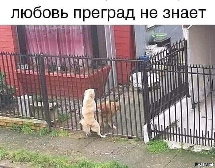 Демотиваторы на любой вкус