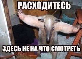 "Совсем другой мир": полярник показал, как выглядит погода в -62 в Антарктиде