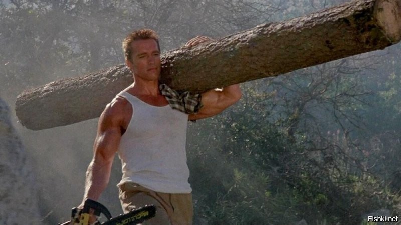 Лукашенко показал мастер-класс по колке дров на чемпионате в Беларуси