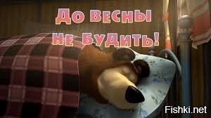 Редкие кадры засыпающего в берлоге медведя