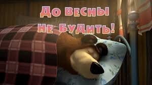 Редкие кадры засыпающего в берлоге медведя