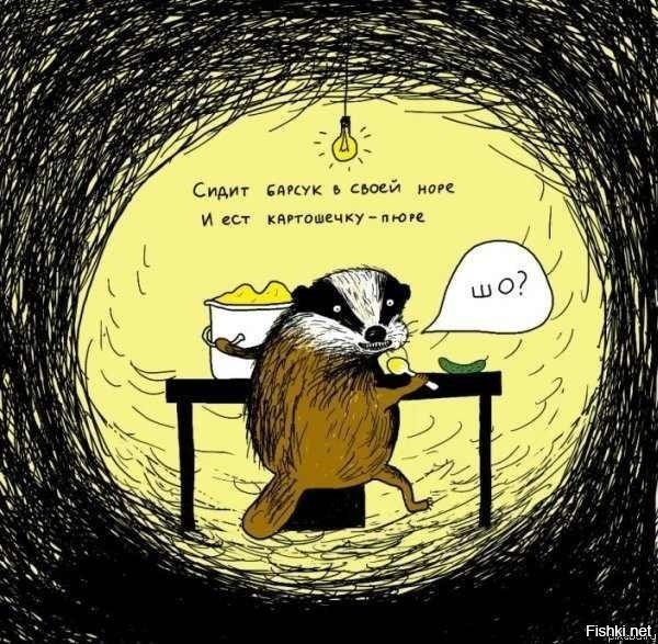 Барсук: обитает по всей России, но вы его не встретите