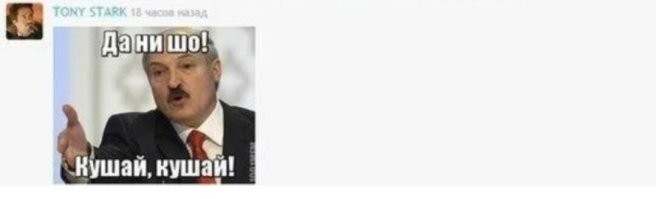 Барсук: обитает по всей России, но вы его не встретите