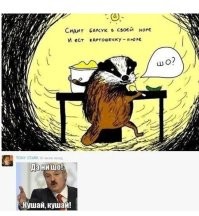 Барсук: обитает по всей России, но вы его не встретите