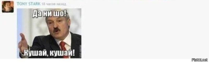 Барсук: обитает по всей России, но вы его не встретите