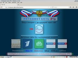 "Вероятность является высокой": в России могут ввести вход в интернет с авторизацией через "Госуслуги"