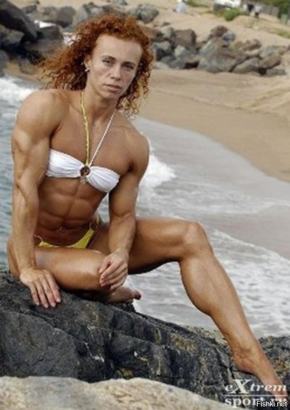 18 котиков, которые благодаря своим размерам могут считаться сразу за двух питомцев