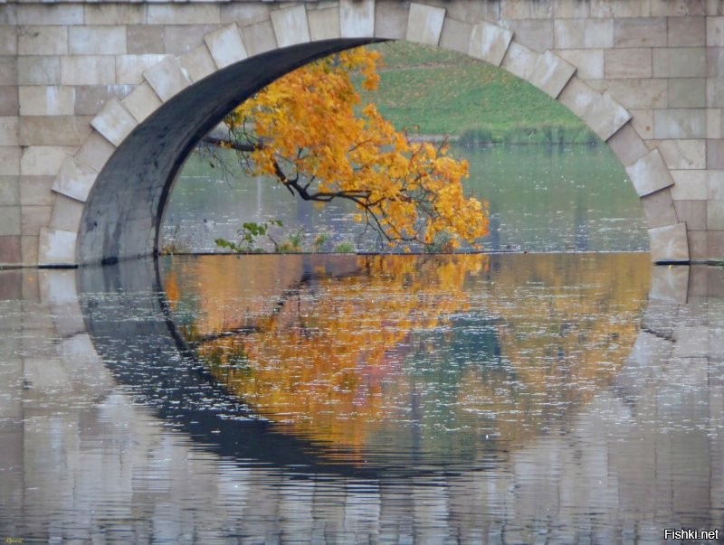 Карпин мост, Гатчина