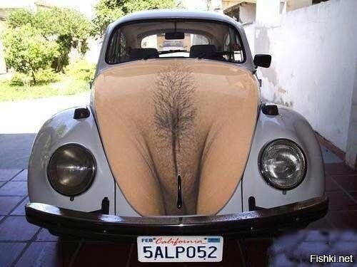 АвтоВсячина