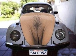 АвтоВсячина