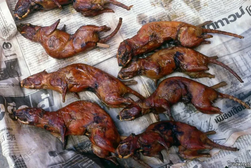 Надо было так ... с тут и не перепутать и на крыс у неё харама нет ...