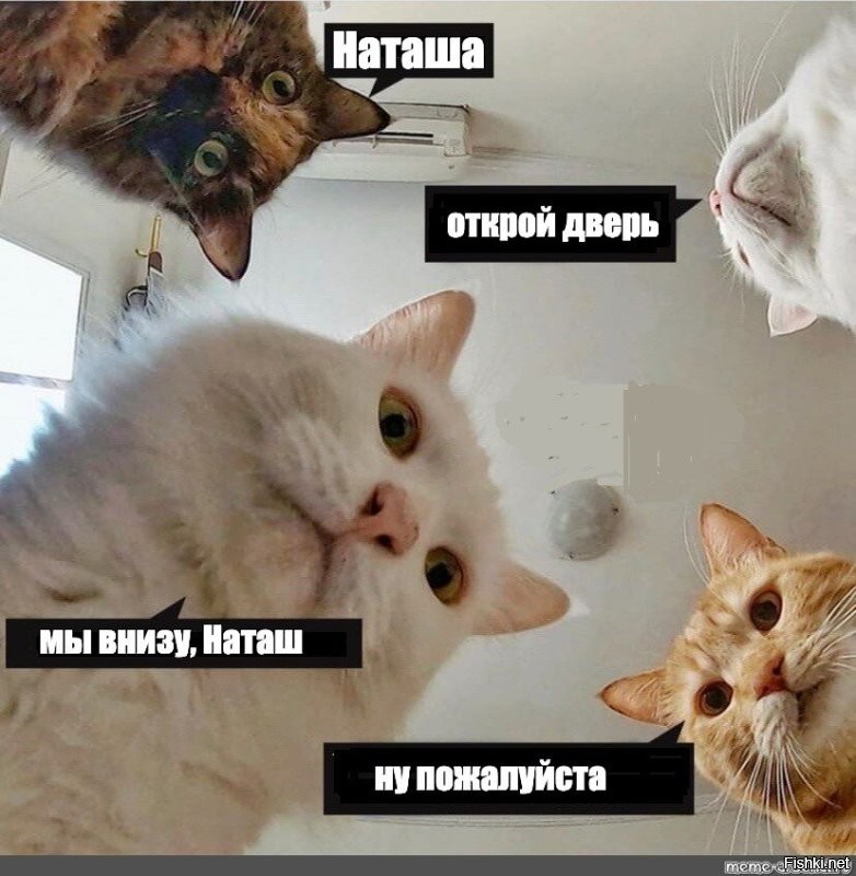 Женщина в поисках щедрого спутника для серьёзных отношений