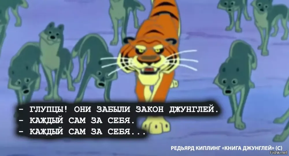 Люди живут по законам власти, а львы и остальная живность, живёт по, так называемому "закону джунглей". 
«Закон джунглей»   это фразеологизм, обозначающий ситуацию, где действует принцип «выживает сильнейший» или «убей или будешь убит», то есть жестокое соревнование без правил. Однако изначально, в «Книге джунглей» Редьярда Киплинга, этот термин описывал кодекс поведения животных, включавший правила для сохранения жизни и поддержания баланса в природе, а не только борьбу за выживание.
