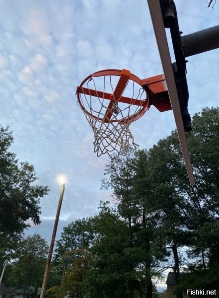 Да это ж расизм в чистом виде!