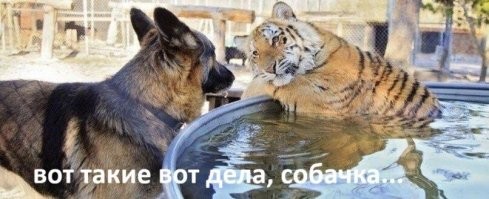 Грустная и веселая подборка