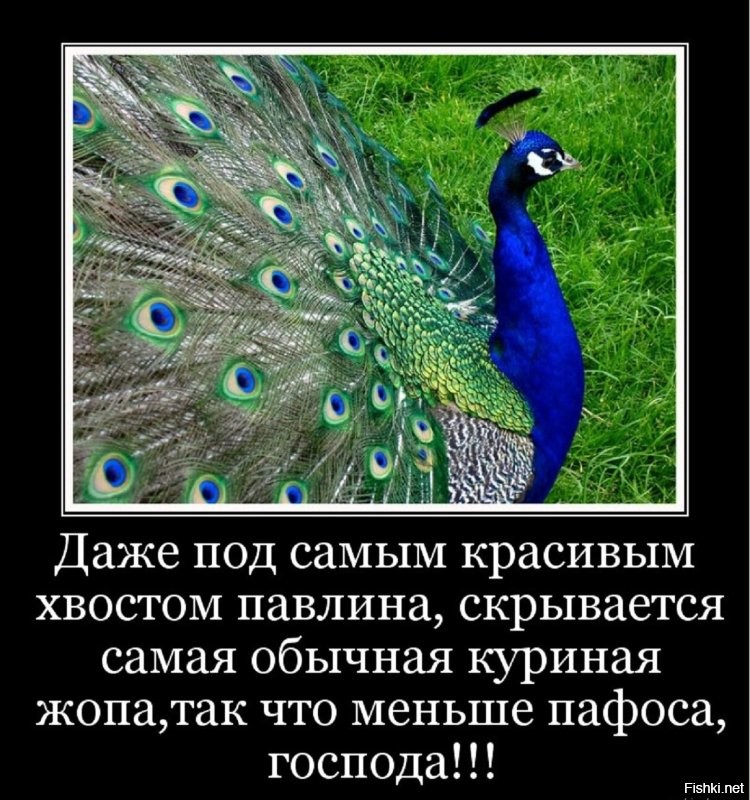 Совершенно верно...