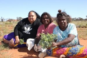 Сапиентные бабы от неандертальских не сильно-то и отличались. Вот они, красавицы - чистые сапиенсы, без примесей. Такие в Европу и пришли. Какой неандерталец тут устоит?