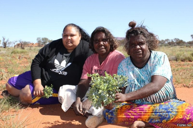 Сапиентные бабы от неандертальских не сильно-то и отличались. Вот они, красавицы - чистые сапиенсы, без примесей. Такие в Европу и пришли. Какой неандерталец тут устоит?