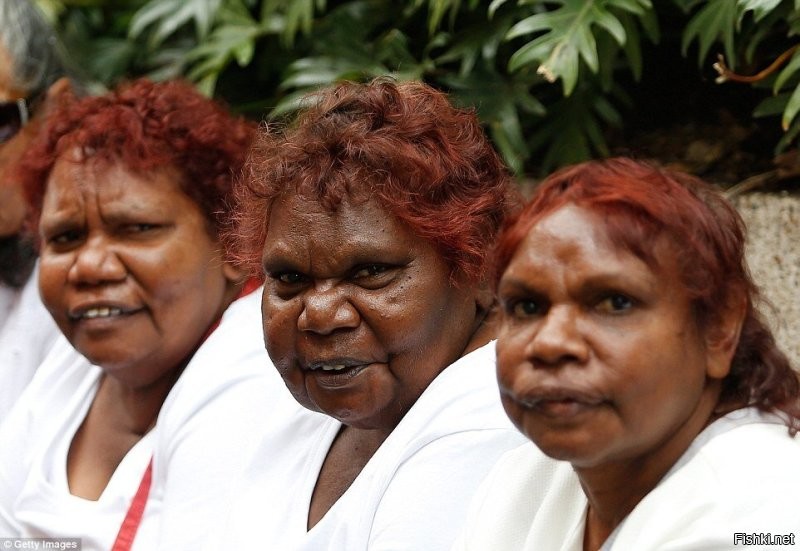 Сапиентные бабы от неандертальских не сильно-то и отличались. Вот они, красавицы - чистые сапиенсы, без примесей. Такие в Европу и пришли. Какой неандерталец тут устоит?