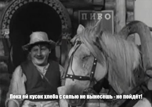 В Англии пёс отказался продолжить прогулку, пока не зайдёт в паб