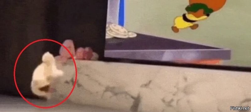 Шухер, наших бьют!