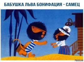 5 фактов, которые меняют представление о львах
