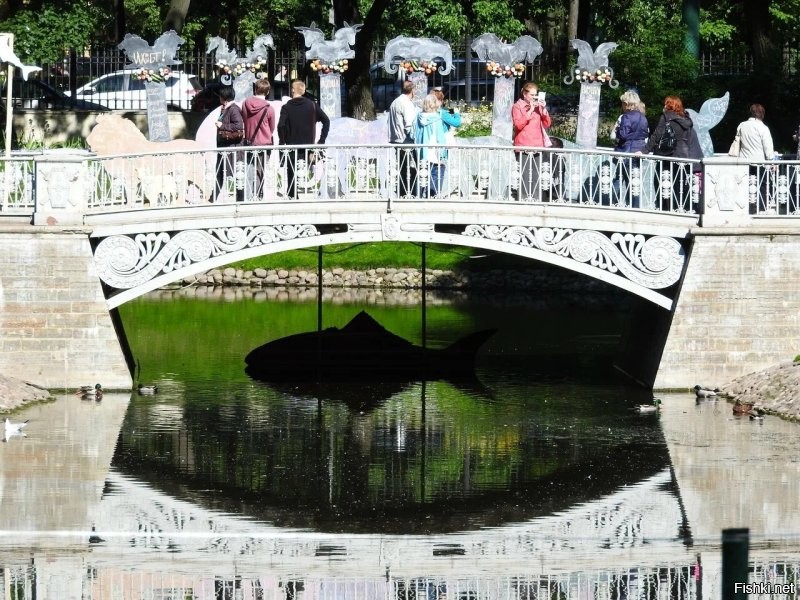 Солянка от 09.11.2025