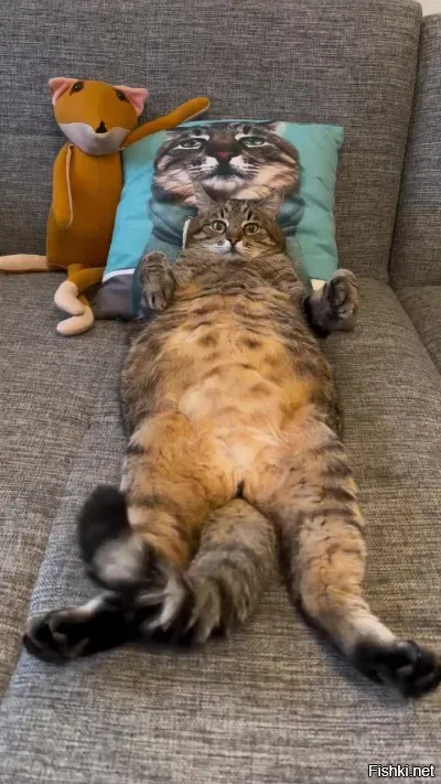 Солянка от 10.11.2025