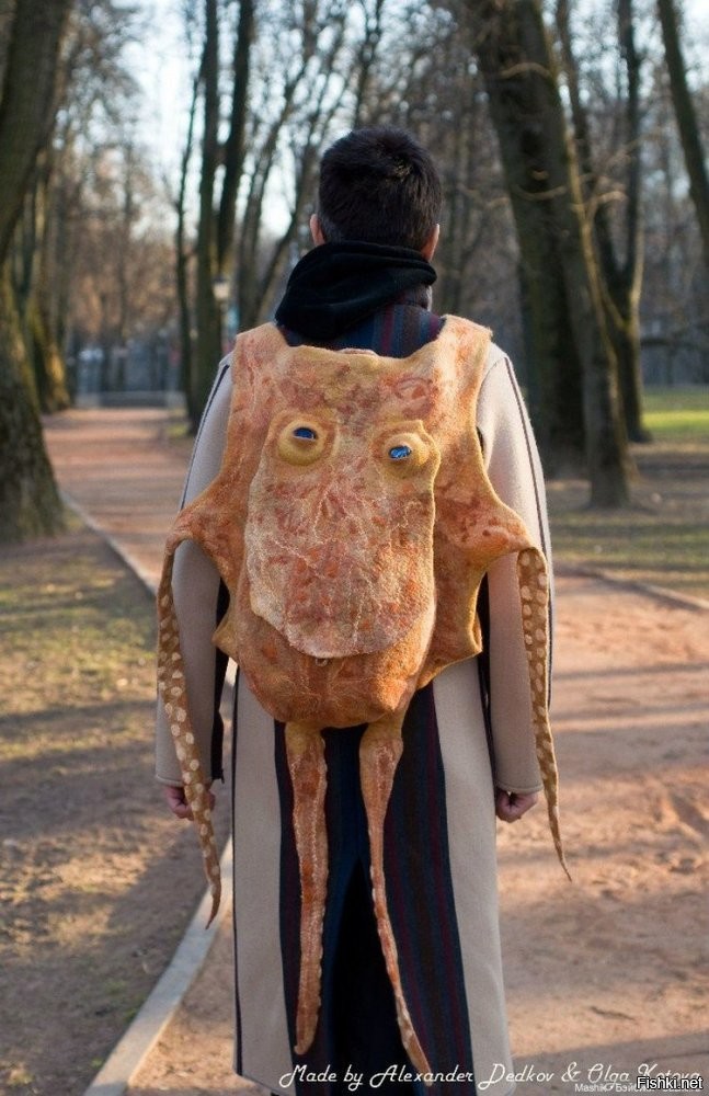 Осьминог напал на дайвера в Турции